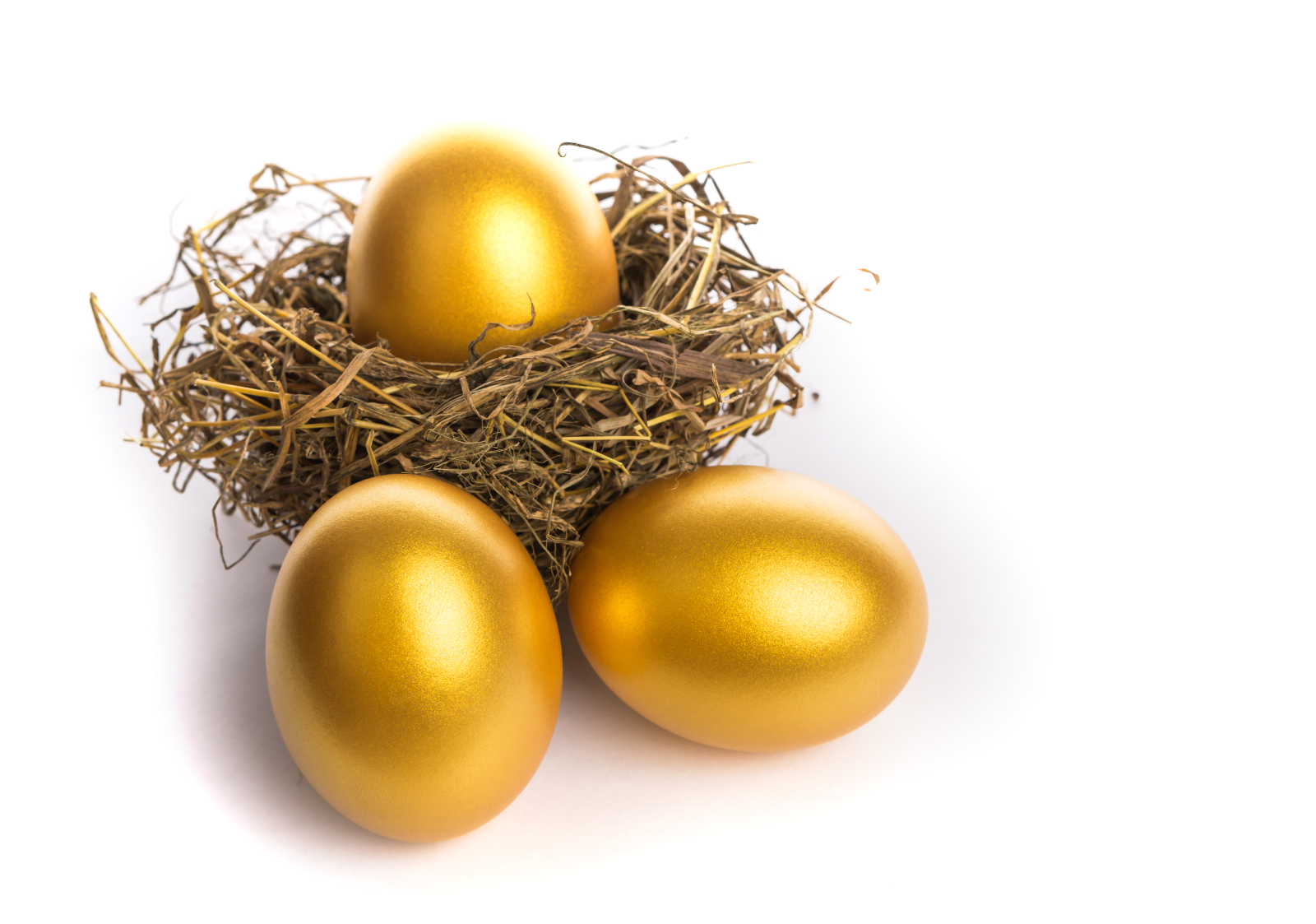 How to Turn a High Income Into Wealth